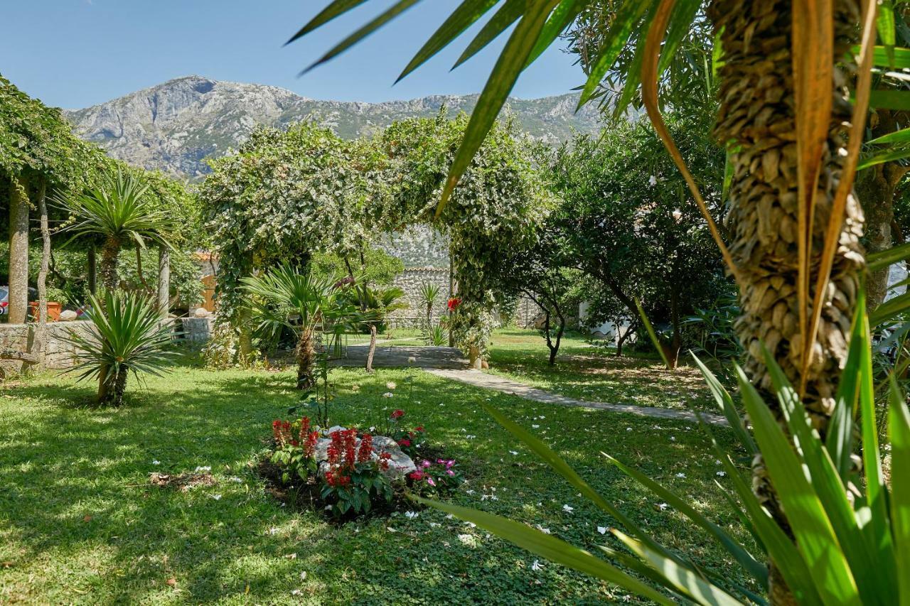 Mediterranean Holiday House & Apartments 科托尔 外观 照片