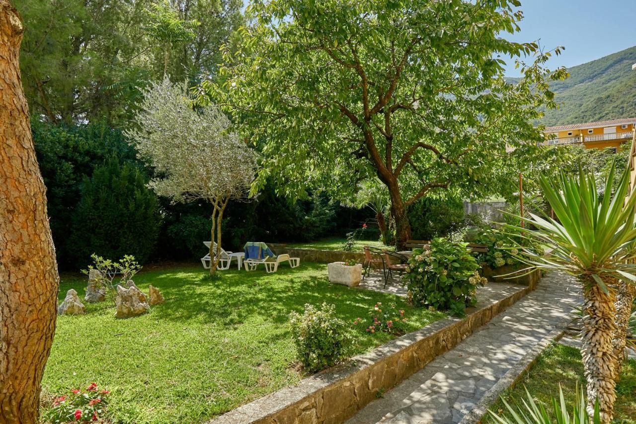 Mediterranean Holiday House & Apartments 科托尔 外观 照片