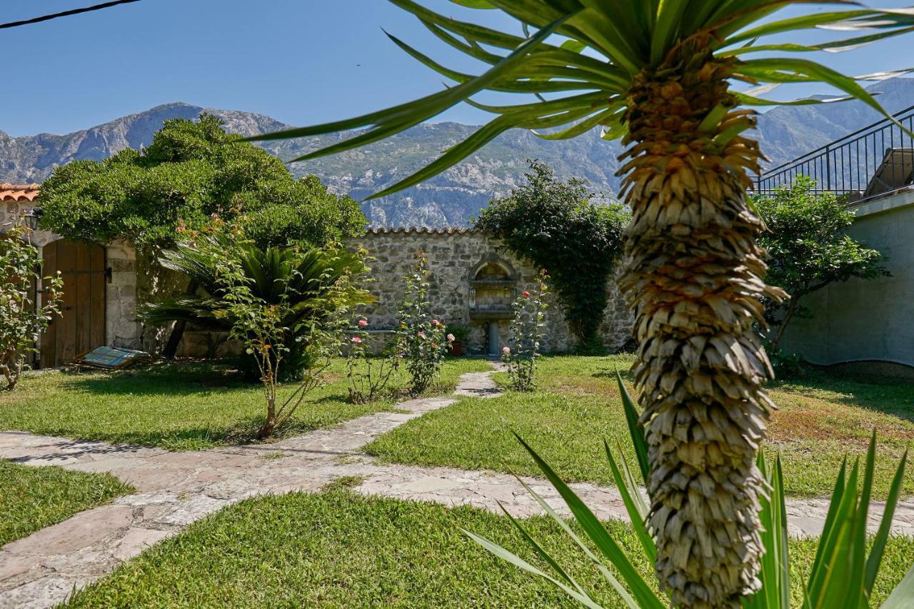 Mediterranean Holiday House & Apartments 科托尔 外观 照片